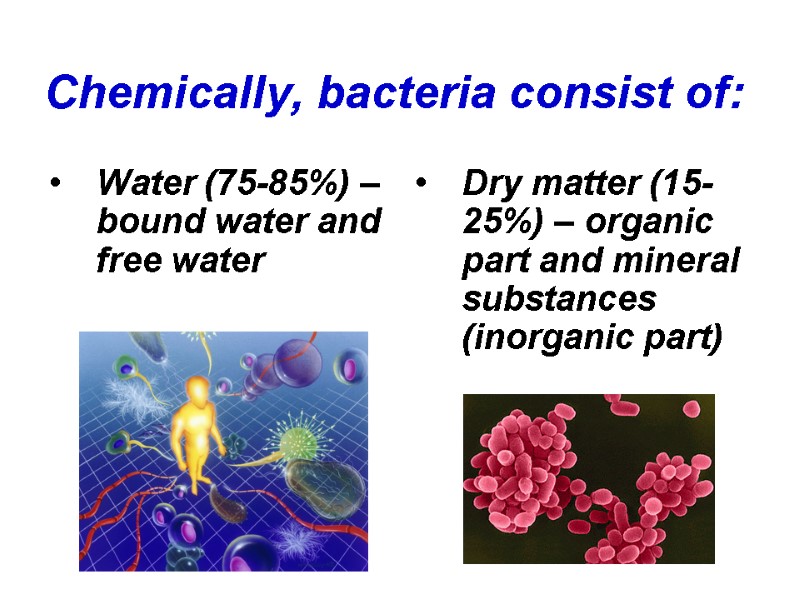 Chemically, bacteria consist of:  Water (75-85%) – bound water and free water Dry